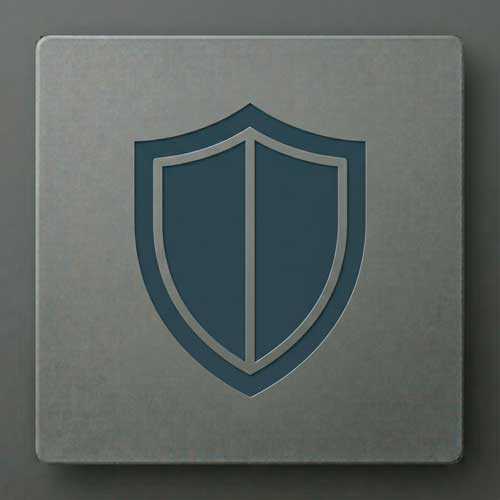 The Shield: Emblem of the Sentinel